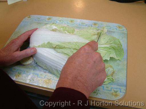 Chinese cabbage chopping 